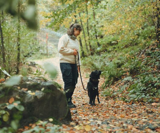 Frau mit Hund alleine auf einem Waldweg in ruhiger Umgebung.
