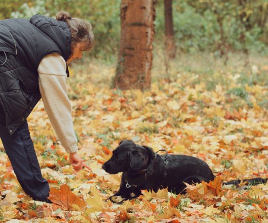 Eine Frau gibt ihrem schwarzen Hund Kommandos zwischen buntem Herbstlaub.