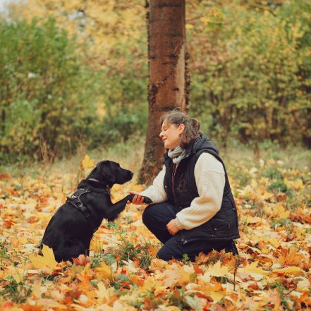 Hundetrainerin Ellie Wilhelm kniet im bunten Laub, während ihr schwarzer Hund ihr vertrauensvoll die Pfote gibt.