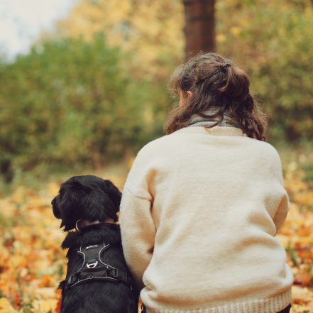 Eine Frau sitzt Rücken an Rücken mit einem Hund auf einer Laubwiese im herbstlichen Wald. Beide schauen ruhig in die Natur. Das Bild vermitt