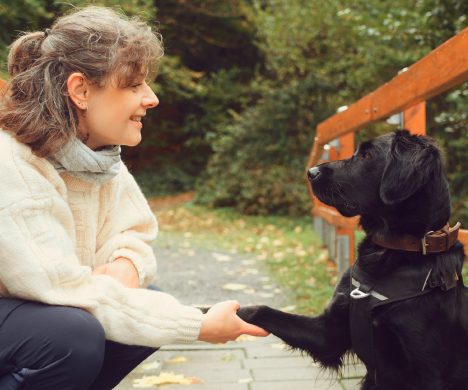 Hundetrainerin Ellie Wilhelm kniet auf Waldweg, während ihr schwarzer Hund ihr vertrauensvoll die Pfote gibt.