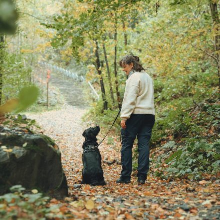Ellie und ihr Hund stehen auf einem laubbedeckten Waldweg und schauen sich aufmerksam an.