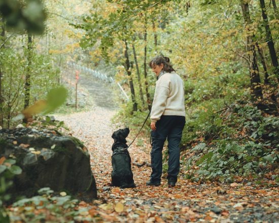 Ellie und ihr Hund stehen auf einem Waldweg und schauen sich aufmerksam an – ein ruhiger Moment voller Verbindung und Vertrauen.